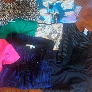 Women's Clothing Bundle fifteen designer items